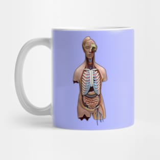 Levitation of a Degenerated Muse Mug